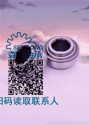 軸承批發bj2020.02汽車軸承 軸承批發